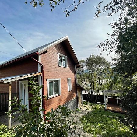 Карпатський Котедж Karpatian Cottage Vorokhta Exterior foto