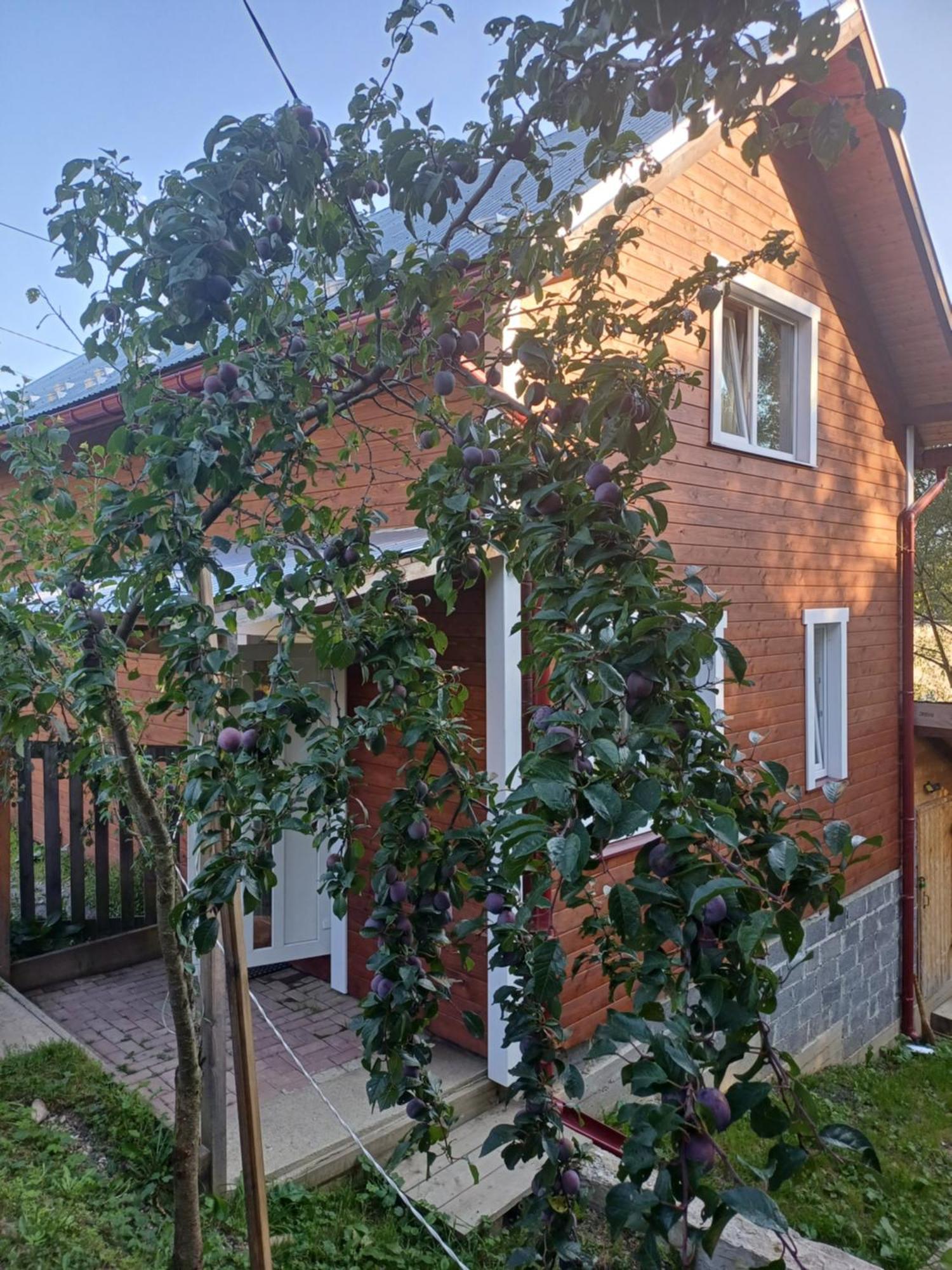 Карпатський Котедж Karpatian Cottage Vorokhta Exterior foto